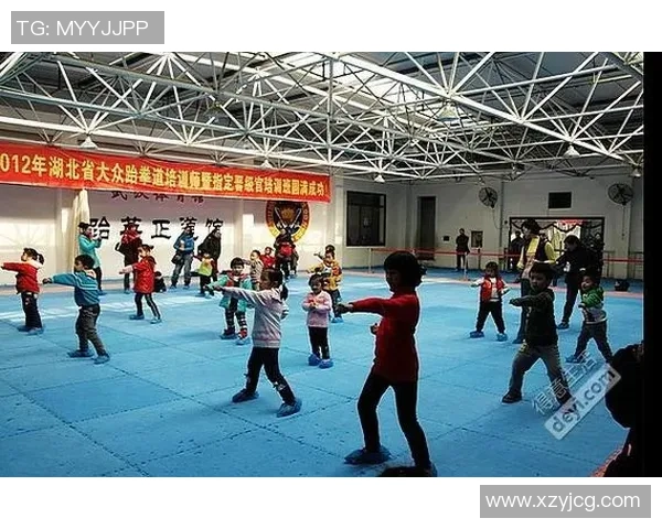 专访吴强：深入探讨排球背后的成功秘诀与团队协作之道